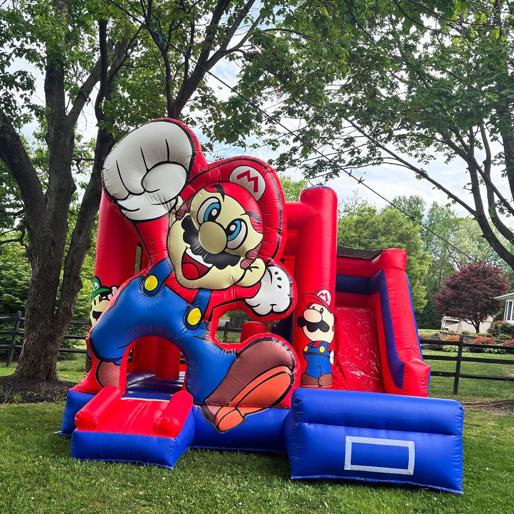 Custom Inflatable Bouncer Kids - Kids Outdoor Jump House recensione e prezzo