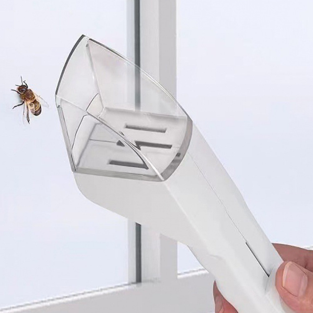 2Pcs Spider Catching Tool for  - Kids Outdoor Kit recensione e prezzo